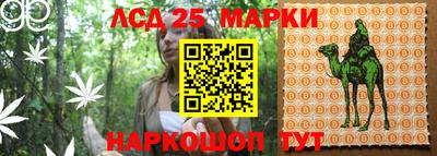 круглые Будённовск