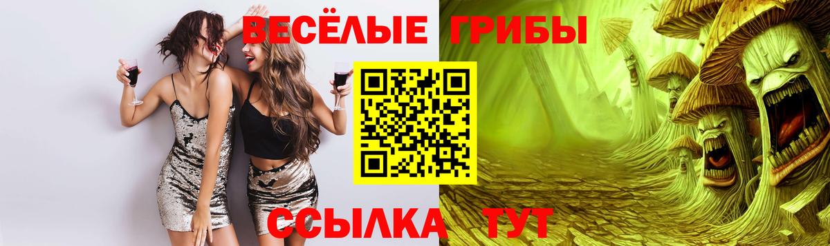Псилоцибиновые грибы Cubensis Тюмень
